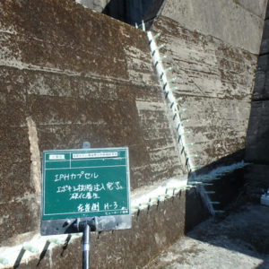 ダム導流壁左岸側補修業務